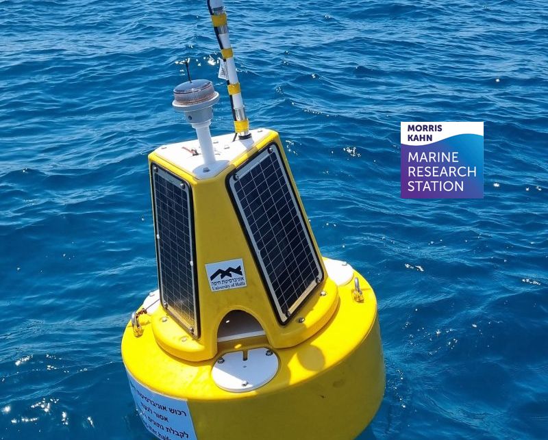 מצוף מוריס קאהן